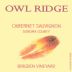 Owl Ridge Wines Bridgen Vineyard Cabernet Sauvignon 2009 Front Label