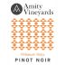Amity Willamette Valley Pinot Noir 2018 Front Label