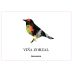Vina Zorzal Garnacha 2023 Front Label