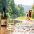 Portlandia Winery Pinot Gris 2024 Portlandia Winery Pinot Gris Gift Product Image