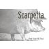 Scarpetta Pinot Grigio 2021 Front Label