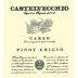 Castelvecchio Carso Pinot Grigio 2022 Front Label
