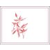 Arnot-Roberts Legan Vineyard Pinot Noir 2018 Front Label