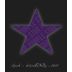 Purple Star Wines Syrah 2009 Front Label