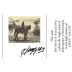 Yalumba Heggies Vineyard Botrytis Riesling 2006 Front Label