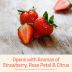 Meiomi Rose 2021 Aromas of strawberry, rose & citrus Gift Product Image