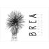 Brea Margarita Vineyard Cabernet Sauvignon 2022 Front Label