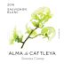Alma de Cattleya Sauvignon Blanc 2016 Front Label