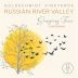 Goldschmidt Vineyard Singing Tree Chardonnay 2023 Front Label
