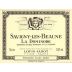 Louis Jadot Savigny-les-Beaune La Dominode Premier Cru 2017 Front Label