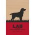 Casa Santos Lima Lab Red 2017 Front Label