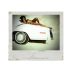 Orin Swift Cellars Machete 2020 Gift Product Image