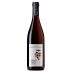 Domaine Fabrice Gasnier Chinon Vieilles Vignes 2022 Front Bottle Shot