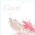 Cenyth Rose of Cabernet Franc 2019 Front Label