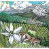 Kelley Fox Mirabai Pinot Noir 2019 Front Label