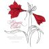Bougetz Cellars Amaryllis Cabernet Sauvignon 2012 Front Label