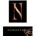 Numanthia Toro 2017 Front Label