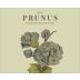 Gota Wines Prunus Branco 2020 Front Label
