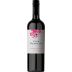 Elsa Bianchi Cabernet Sauvignon 2018 Front Bottle Shot