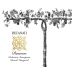 Recanati David Vineyard Reserve Cabernet Sauvignon (OU Kosher) 2019 Front Label