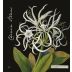 Botanica Wines Mary Delany Chenin Blanc 2017 Front Label