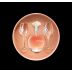JNSQ Rose Cru Hatbox 2018 Gift Product Image