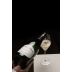 Duval-Leroy Brut Reserve Gift Product Image