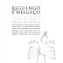 Reguengo de Melgaco Alvarinho Vinho Verde 2017 Front Label