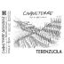 Terenzuola Cinque Terre Bianco 2024 Front Label