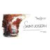 Pierre Gaillard Saint-Joseph Rouge 2016 Front Label