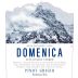 Mezzacorona Domenica Pinot Grigio 2023 Front Label