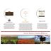 Masters of Wine Selection with Tasting Video Gift Product Image