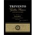 Trivento Golden Reserve Malbec 2019 Front Label