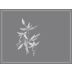 Arnot-Roberts Trousseau 2019 Front Label
