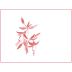 Arnot-Roberts Fox Creek Vineyard Pinot Noir 2022 Front Label
