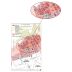 Albert Bichot Vosne-Romanee Domaine du Clos Frantin 2019 Vosne-Romanée Gift Product Image