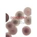 Podere Il Castellaccio Dinostro 2017 Front Label