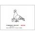 Vignobles Bulliat Morgon Nature Gamay 2020 Front Label