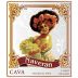 Bodegas Naveran Brut Nature Cava 2017 Front Label