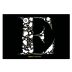 Elderton E Series Chardonnay 2019 Front Label