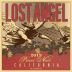 Lost Angel Pinot Noir 2013 Front Label