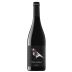Vina Zorzal Graciano 2022 Front Bottle Shot