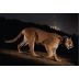 Byron Blatty Ghost Cat 2016 Front Label