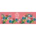 Cantine Cavicchioli Rose Spumante Dolce Front Label