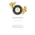Miraval Cotes de Provence Lady Jane 2010 Front Label