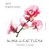 Alma de Cattleya Pinot Noir 2021 Front Label