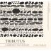 Tributus Cabernet Sauvignon 2014 Front Label