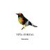 Vina Zorzal Garnacha 2018 Front Label