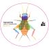 Azul y Garanza Suelo Vivo Blanco Orange 2023 Front Label