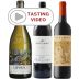Wines of Portugal Set with Tasting Video Gift Product Image
